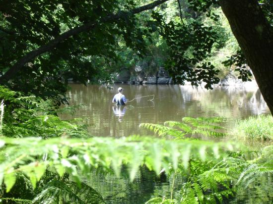 Pêche en rivière