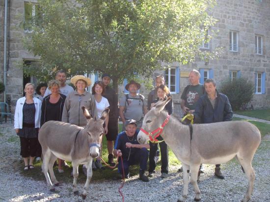 Visite des ânes à la Papeterie