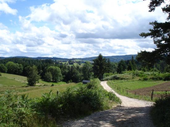 Sur le chemin de Compostelle