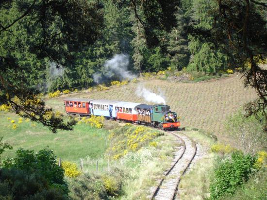 Le train touristique à vapeur