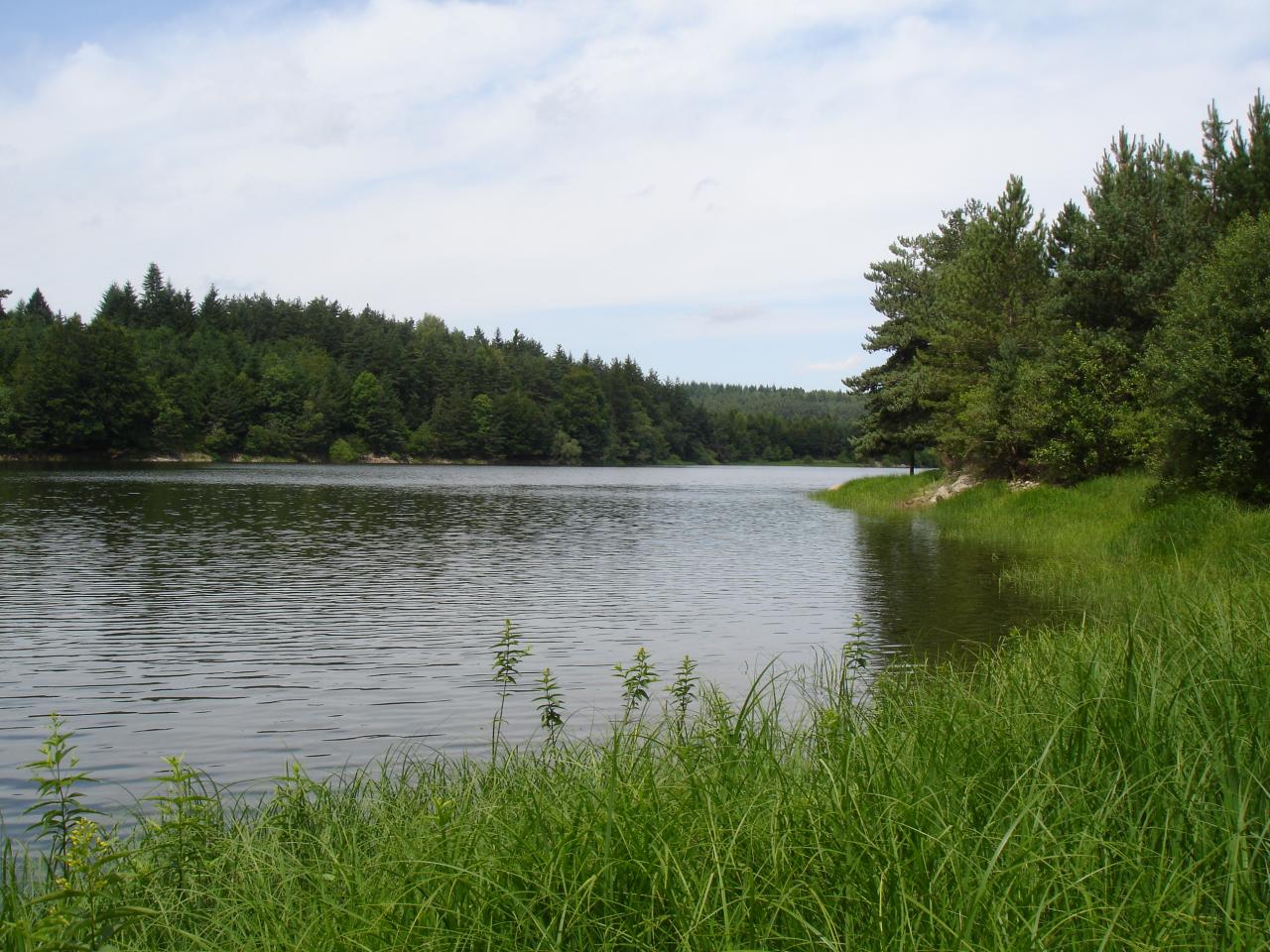 Un environnement sauvage et protégé