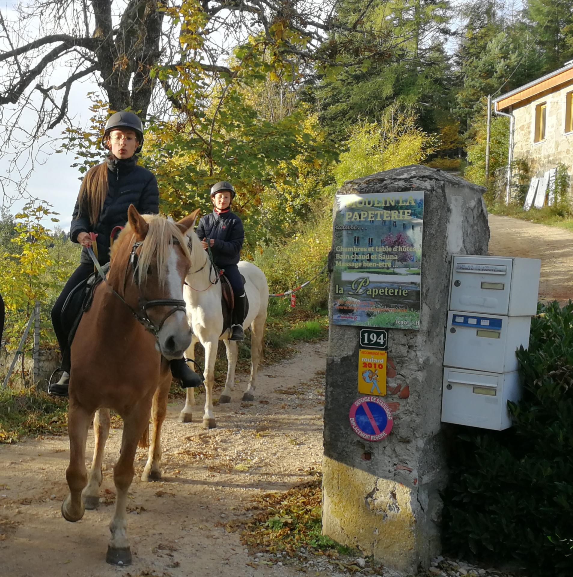 Les ballades à cheval et à poney