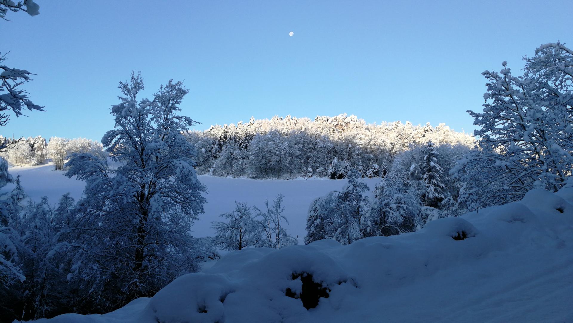 Img 20191115 082128 burst001 cover 1