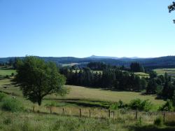 Forêts de sapins et pâturages autour du gîte