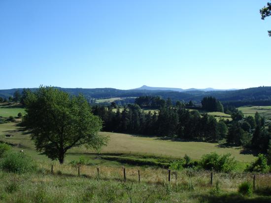 Forêts de sapins et paturages autour de Tence