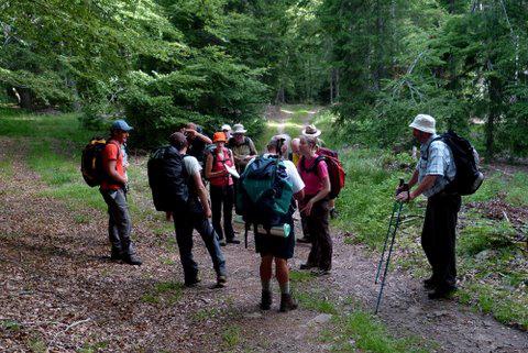 Randonnee en pleine nature